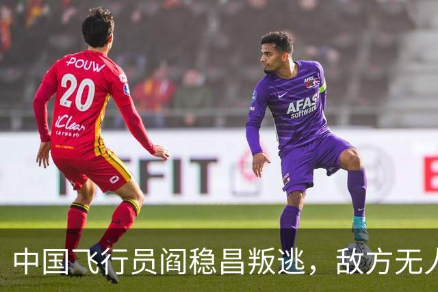 中国飞行员阎稳昌叛逃，敌方无人接应，最后撞山，结局悲惨，机毁人亡