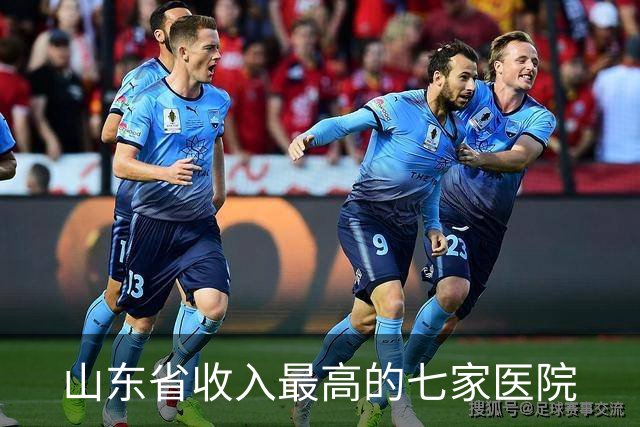山东省收入最高的七家医院